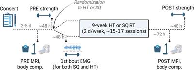 Hip thrust and back squat training elicit similar gluteus muscle hypertrophy and transfer similarly to the deadlift